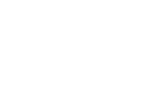 Steeso